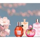 Descubrí el Significado de las Flores con Lymage Perfumería 