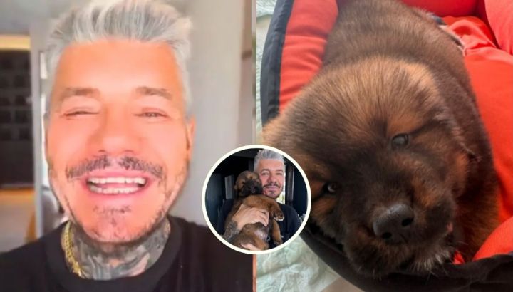 Marcelo Tinelli presentó en las redes a Bruno, su nuevo "hijo": "Estoy enamorado"