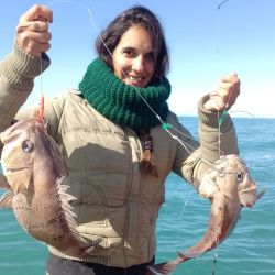 Los meros se mezclan con mucha variada, abunda la pescadilla, gatuzo, pez palo y gallo y se suman besugos colorados, salmones, brótolas y cazones.