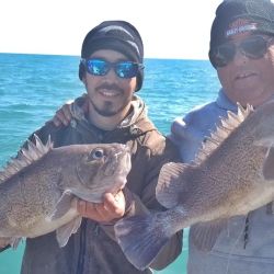 Los meros se mezclan con mucha variada, abunda la pescadilla, gatuzo, pez palo y gallo y se suman besugos colorados, salmones, brótolas y cazones.