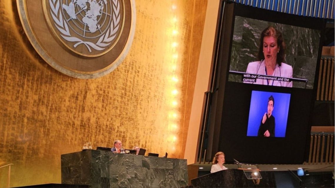 Diana Morino Speaks at UN Conference