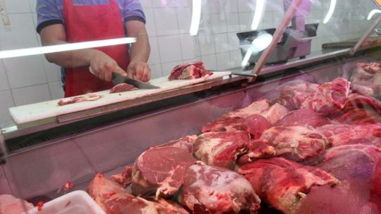 Preocupa la caída en la actividad de los frigoríficos: cayó la producción de carne 