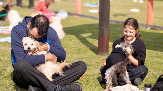 Una fecha para concientizar sobre las adopciones responsables de mascotas