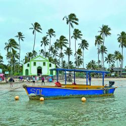 Mucha pesca de primavera, aventura, turismo y muchas sorpresas en tu revista Weekend de octubre.