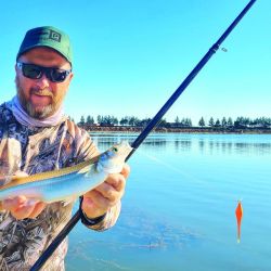 Mucha pesca de primavera, aventura, turismo y muchas sorpresas en tu revista Weekend de octubre.