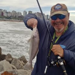  Ya sea desde playa o de escollera, cualquier escenario con rompiente y agua entremezclada ofreció una tremenda cantidad de ejemplares de todos los portes, más allá de que las más grandes llegan aproximadamente a un kilogramo de peso. 