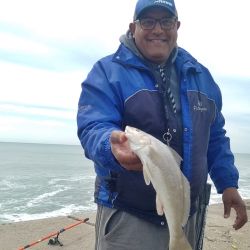  Ya sea desde playa o de escollera, cualquier escenario con rompiente y agua entremezclada ofreció una tremenda cantidad de ejemplares de todos los portes, más allá de que las más grandes llegan aproximadamente a un kilogramo de peso. 