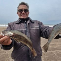  Ya sea desde playa o de escollera, cualquier escenario con rompiente y agua entremezclada ofreció una tremenda cantidad de ejemplares de todos los portes, más allá de que las más grandes llegan aproximadamente a un kilogramo de peso. 