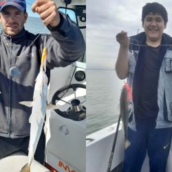 La pescadilla es la especie más abundante junto con gatuzos y palometas de muy buen porte, ejemplares que dan una pelea muy deportiva e inclusive se las puede pescar con algún artificial. 