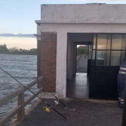 Mientras en Isla Paulino podemos pescar a flote, en los muelles del Universitario como Municipalizado, los rindes son fondeados. 