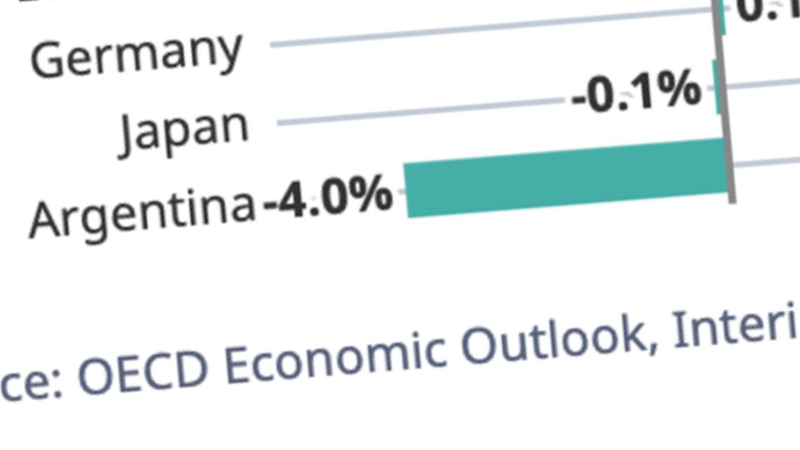 The Organisation for Economic Cooperation and Development predicts that Argentina's economy will contract by four percent his year.