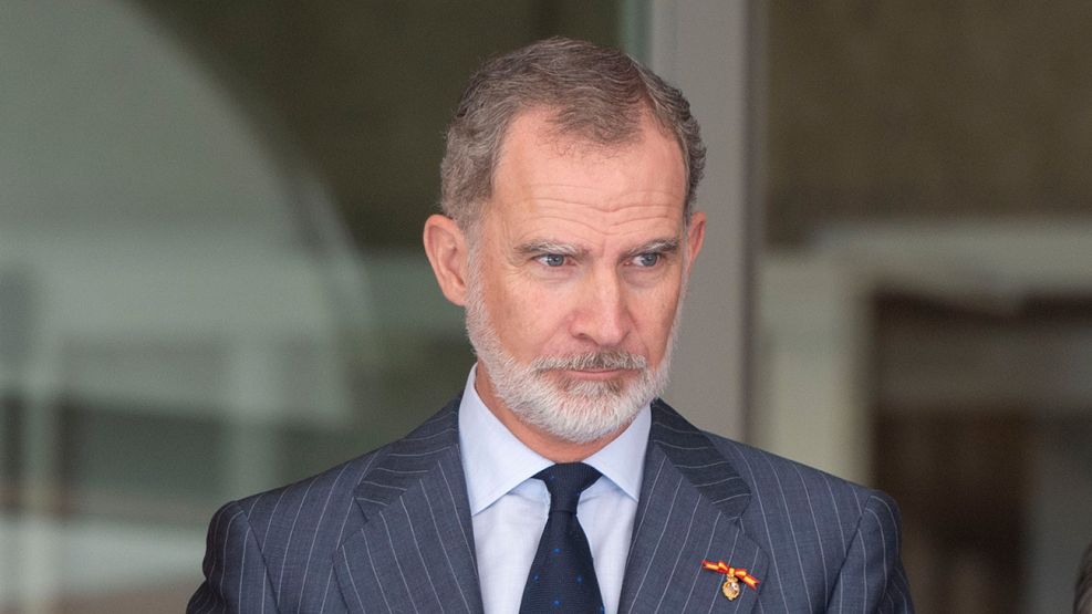 Felipe VI Rey de España 