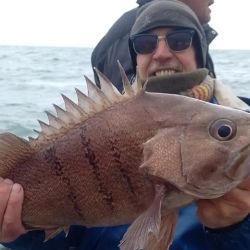 Despedimos el mes con un informe con muy buenas noticias. El pejerrey y los dorados siguen, pero en ascenso la variada en el mar y los surubíes. 