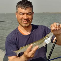 Despedimos el mes con un informe con muy buenas noticias. El pejerrey y los dorados siguen, pero en ascenso la variada en el mar y los surubíes. 
