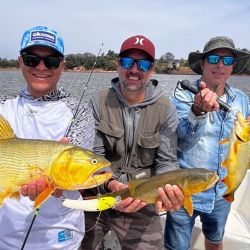 Despedimos el mes con un informe con muy buenas noticias. El pejerrey y los dorados siguen, pero en ascenso la variada en el mar y los surubíes. 
