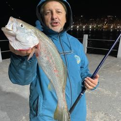Despedimos el mes con un informe con muy buenas noticias. El pejerrey y los dorados siguen, pero en ascenso la variada en el mar y los surubíes. 