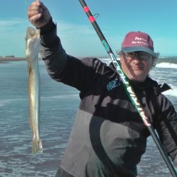 Despedimos el mes con un informe con muy buenas noticias. El pejerrey y los dorados siguen, pero en ascenso la variada en el mar y los surubíes. 