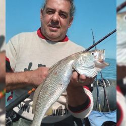 Despedimos el mes con un informe con muy buenas noticias. El pejerrey y los dorados siguen, pero en ascenso la variada en el mar y los surubíes. 