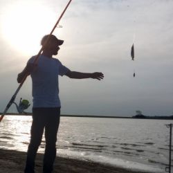 Despedimos el mes con un informe con muy buenas noticias. El pejerrey y los dorados siguen, pero en ascenso la variada en el mar y los surubíes. 