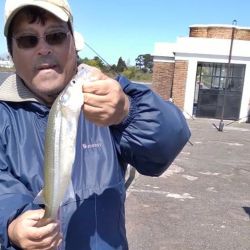 Despedimos el mes con un informe con muy buenas noticias. El pejerrey y los dorados siguen, pero en ascenso la variada en el mar y los surubíes. 