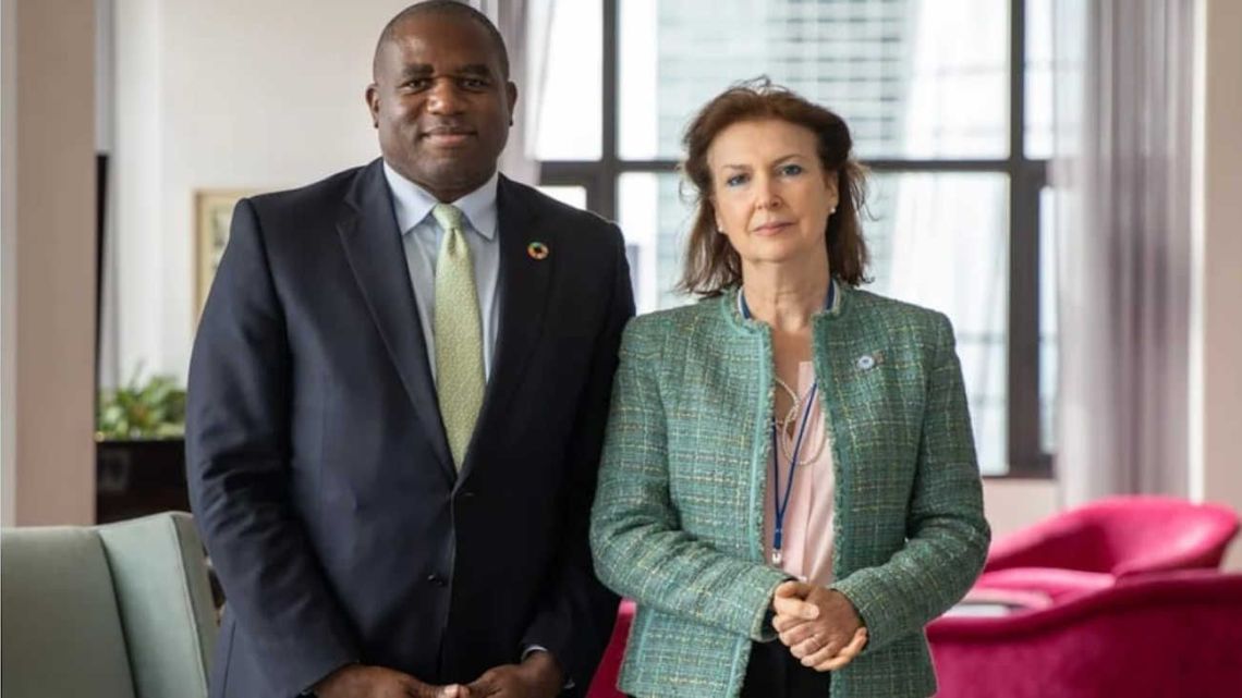 Foreign Minister Diana Mondino meets with British Foreign Secretary David Lammy.