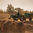 Finca Machuca: Donde la Tradición Familiar se Encuentra con la Innovación Agrícola