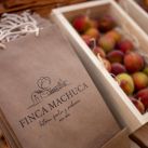 Finca Machuca: Donde la Tradición Familiar se Encuentra con la Innovación Agrícola