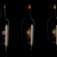 Finca Machuca: Donde la Tradición Familiar se Encuentra con la Innovación Agrícola