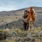 La primavera en Los Robles Suites & Spa: Despierta tus sentidos en un entorno natural incomparable