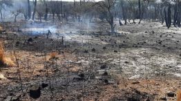 Cenizas en los incendios de Córdoba