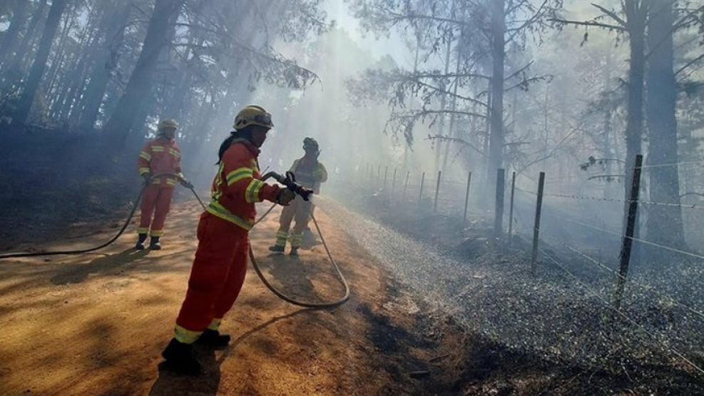 El Plan para remediar los incendios en Córdoba