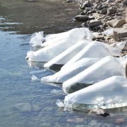 Vale destacar que la actividad en el dique Punta Negra retomará en un par de semanas, tras la veda que comenzó el 15 de agosto. 