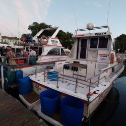 Mar del Plata es uno de los destinos más visitados de la costa atlántica para los aficionados que buscan pesca de altura calificada.
