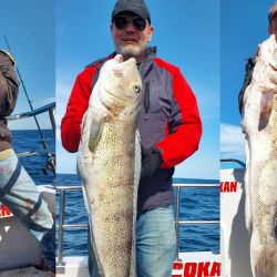 Mar del Plata es uno de los destinos más visitados de la costa atlántica para los aficionados que buscan pesca de altura calificada.