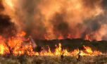 Incendios forestales: siguen activos dos focos de fuego en Córdoba