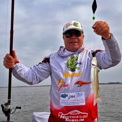 Con calidad y cantidad, Alsina rinde pescarla con mojarra viva, sin descartar, con mucho viento, el filet de pejerrey coloreado de rojo. 