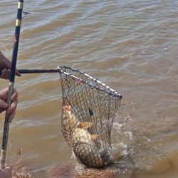 Este ámbito no tiene retención de agua, por lo que su estado depende de las precipitaciones.