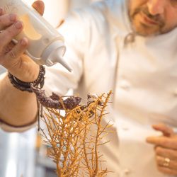 “Toda la investigación la concentró en mi laboratorio itinerante que busca recuperar la cocina endémica y de extrema altura junto a los pastores de la Puna argentina”. WALTER LEAL
