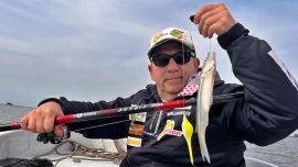 Con calidad y cantidad, Alsina rinde pescarla con mojarra viva, sin descartar, con mucho viento, el filet de pejerrey coloreado de rojo.
