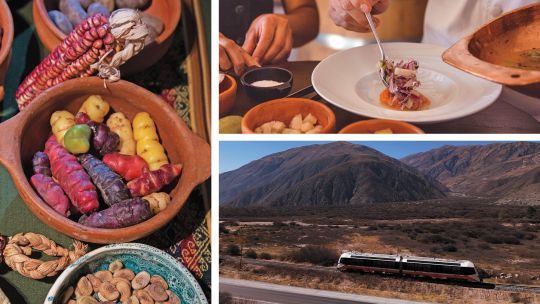 Tren Jujuy Gastronomia norte