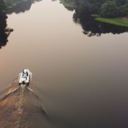 El arapaima es estilizado, fuerte, excelente nadador, pero muy celoso para picar y con una sutileza extrema a la hora de abordar un cebo. Por lo que su pesca además de paciencia, es de mucha atención, pica como un pez pequeño, apenas se siente.