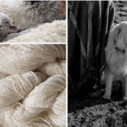 La propuesta reúne una serie de piezas artísticas, fotográficas y textiles, inspiradas en el desafiante vínculo que se crea entre las actividades ganaderas y las especies nativas en la Patagonia argentina,