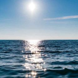 Un 22 % de la superficie oceánica mundial experimentó en 2023 al menos una ola de calor marina severa o extrema