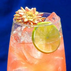 Springbresh | Foto:SKYY Vodka