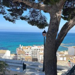 Trámites Varios: Facilitando el Sueño de la Ciudadanía Europea | Foto:CEDOC