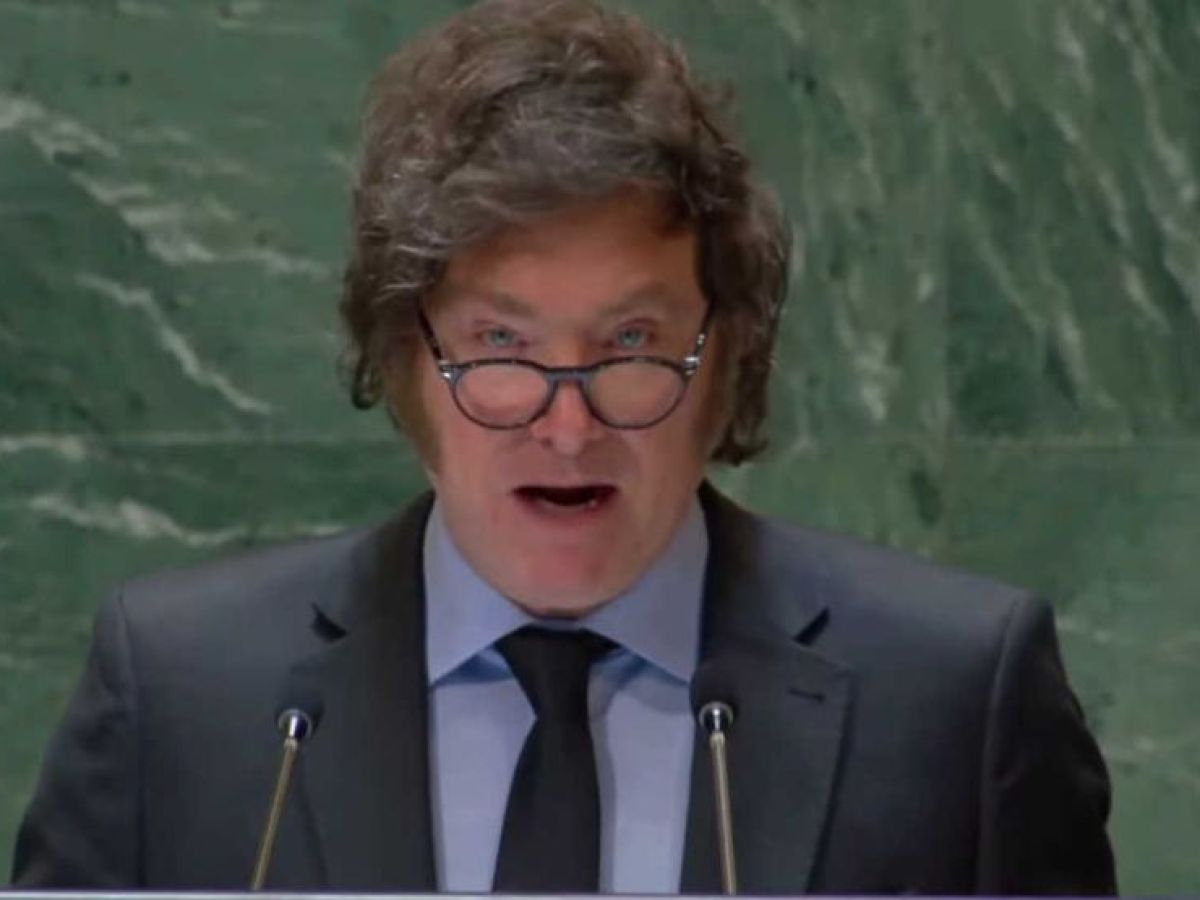 El impacto del discurso de Javier Milei ante la ONU en la política ...