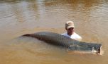 Bolivia: pescamos en el paraíso de los arapaimas gigantes