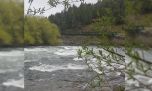 Chubut habilitó la temporada de pesca del salmón del pacífico