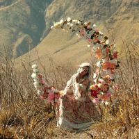 Sanar la Energía Femenina: Un viaje hacia el equilibrio y la autenticidad