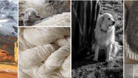 La propuesta reúne una serie de piezas artísticas, fotográficas y textiles, inspiradas en el desafiante vínculo que se crea entre las actividades ganaderas y las especies nativas en la Patagonia argentina,